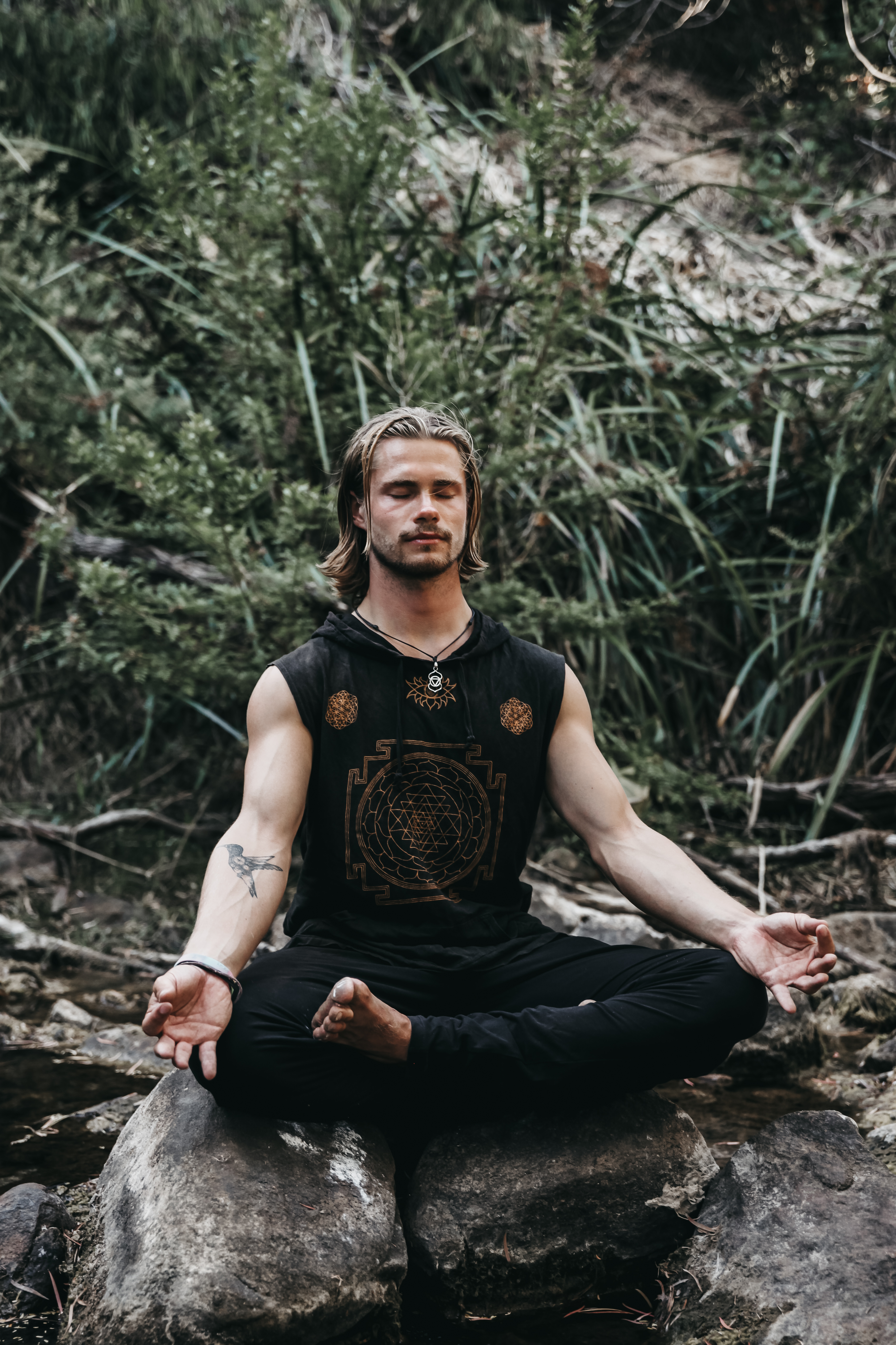 Description for image 2